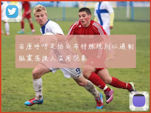 苗原呼吁足协公布特殊规则以遏制脑震荡换人滥用现象