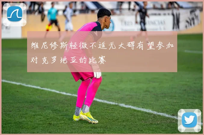 维尼修斯轻微不适无大碍有望参加对克罗地亚的比赛