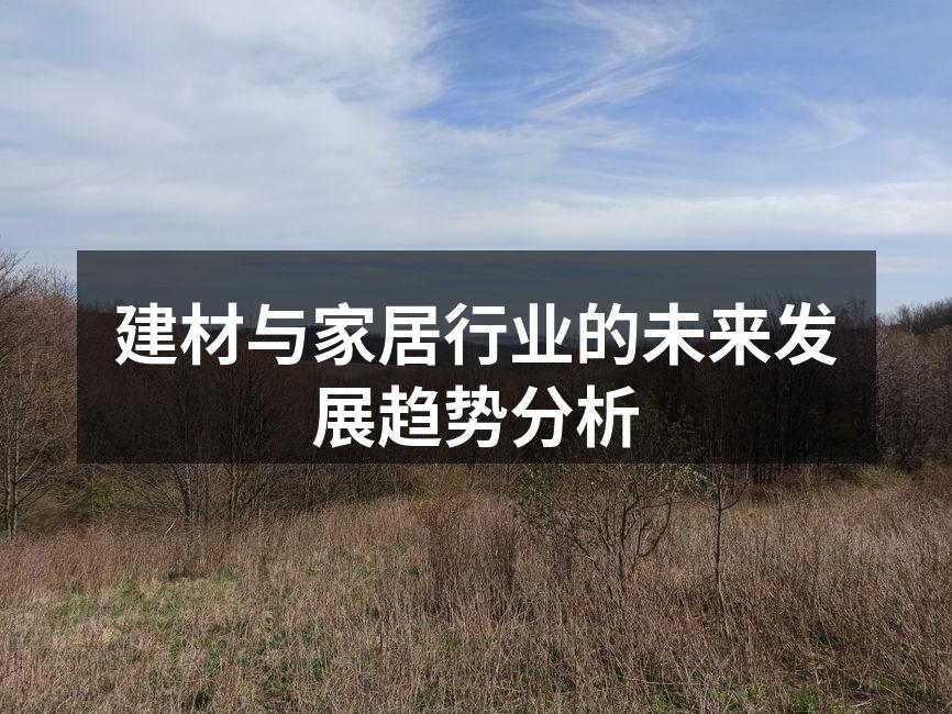 建材与家居行业的未来发展趋势分析